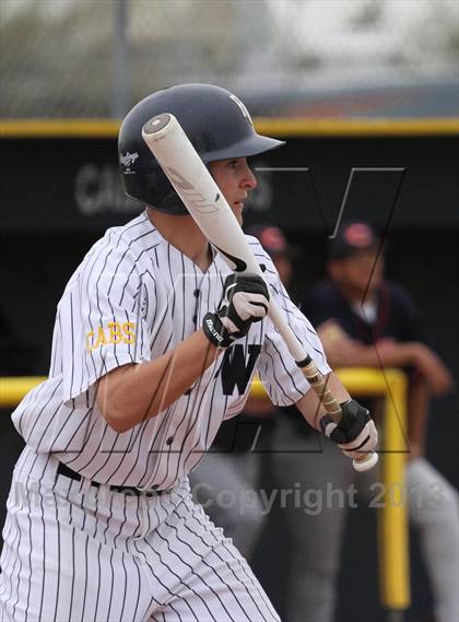 Thumbnail 2 in Cholla @ Flowing Wells photogallery.