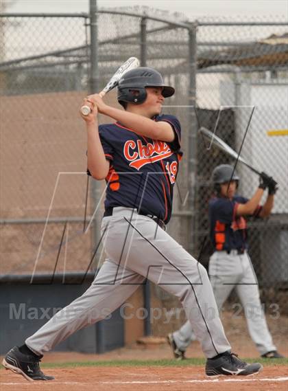 Thumbnail 1 in Cholla @ Flowing Wells photogallery.