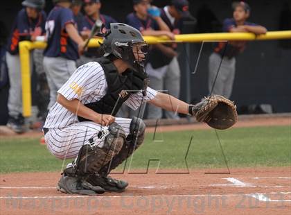 Thumbnail 3 in Cholla @ Flowing Wells photogallery.