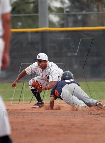 Thumbnail 2 in Cholla @ Flowing Wells photogallery.