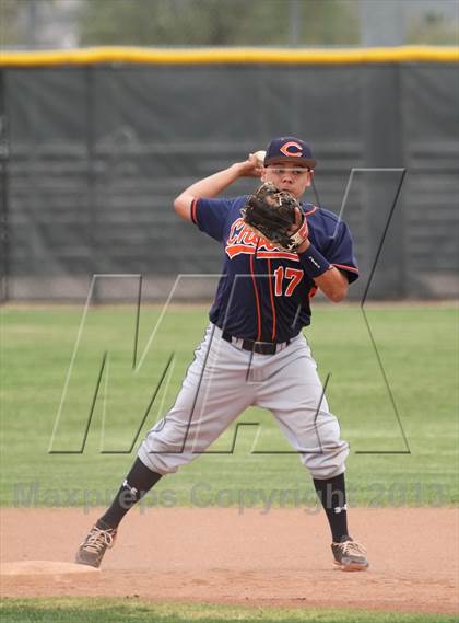 Thumbnail 2 in Cholla @ Flowing Wells photogallery.