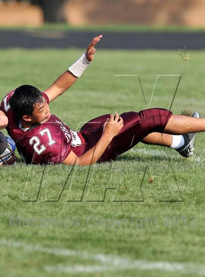 Thumbnail 1 in Johnston @ Dowling photogallery.