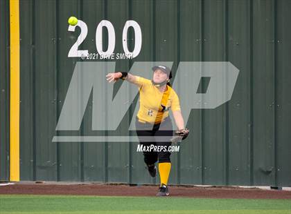 Thumbnail 3 in Parkland @ Hanks photogallery.