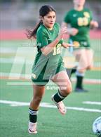 Photo from the gallery "Windsor @ San Marin"