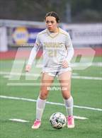 Photo from the gallery "Windsor @ San Marin"