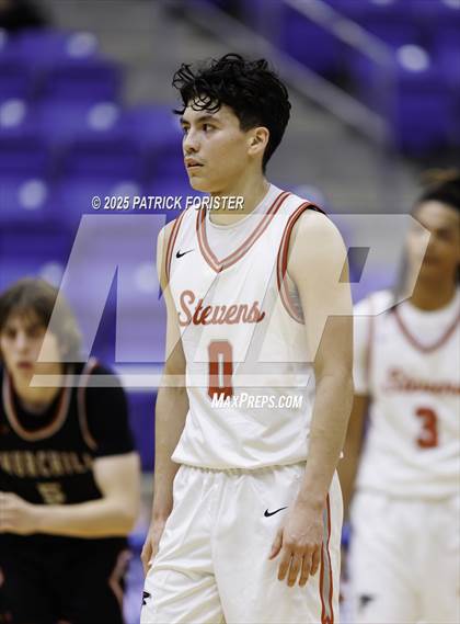 Thumbnail 2 in Churchill @ Stevens photogallery.