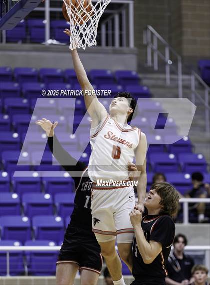 Thumbnail 3 in Churchill @ Stevens photogallery.