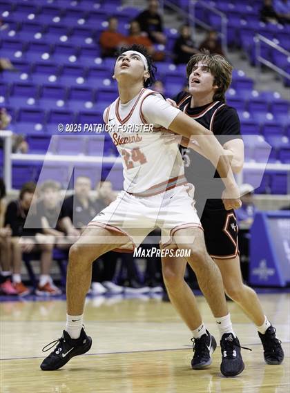 Thumbnail 2 in Churchill @ Stevens photogallery.