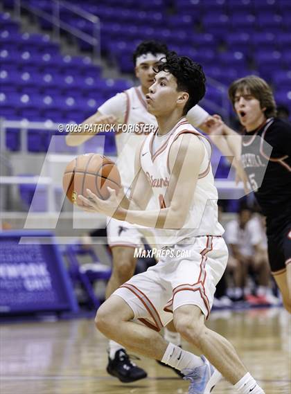 Thumbnail 2 in Churchill @ Stevens photogallery.