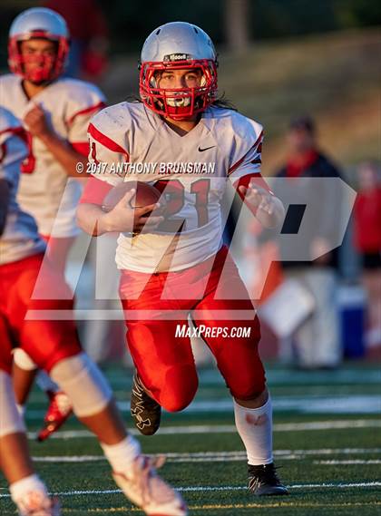 Thumbnail 3 in JV: Antelope photogallery.