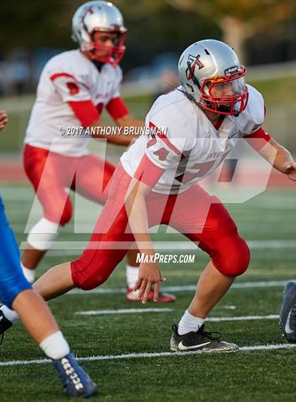 Thumbnail 2 in JV: Antelope photogallery.