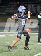 Photo from the gallery "Gardena @ Carson"