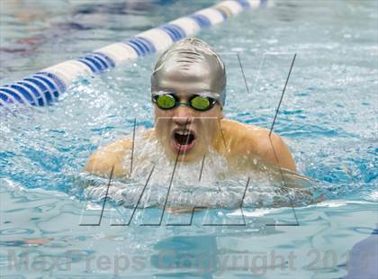 Thumbnail 2 in Washington-Lee @ Hayfield photogallery.