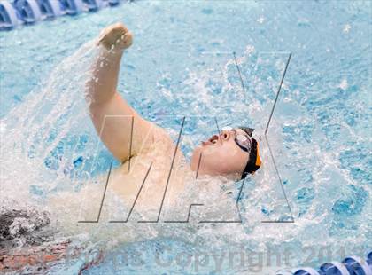 Thumbnail 3 in Washington-Lee @ Hayfield photogallery.