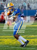 Photo from the gallery "Sequoia @ Newark Memorial"