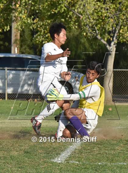 Thumbnail 3 in Sacramento @ Florin photogallery.
