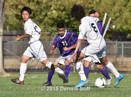 Thumbnail 1 in Sacramento @ Florin photogallery.