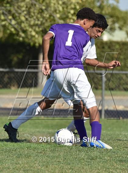 Thumbnail 2 in Sacramento @ Florin photogallery.