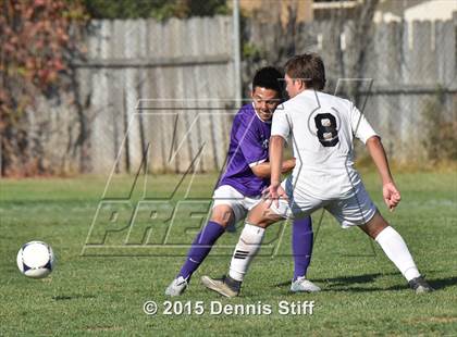 Thumbnail 3 in Sacramento @ Florin photogallery.