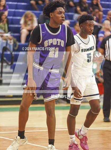 Thumbnail 3 in Spoto @ Sumner photogallery.