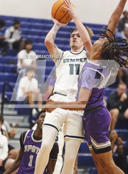 Thumbnail 2 in Spoto @ Sumner photogallery.