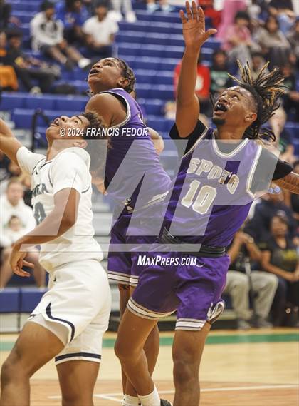 Thumbnail 1 in Spoto @ Sumner photogallery.