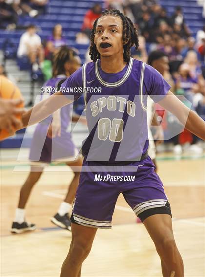 Thumbnail 2 in Spoto @ Sumner photogallery.
