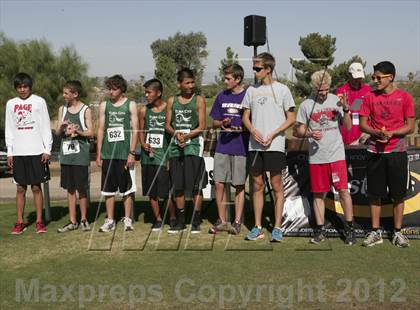 Thumbnail 2 in AIA State Cross Country Championships (Boys Awards) photogallery.