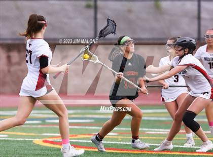 Thumbnail 1 in St. Francis @ Monte Vista (CIFNCS D1 Rd1) photogallery.