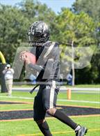 Photo from the gallery "Robinson @ Plant"
