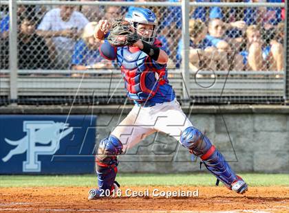 Thumbnail 2 in Pope vs. Walton (GHSA 6A Final - Game 2) photogallery.