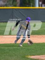 Photo from the gallery "Basalt @ Eaton"