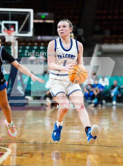 Thumbnail 2 in Highlands Ranch vs Grandview (CHSAA Girls 6A Great 8) photogallery.