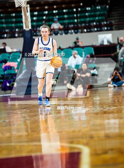 Thumbnail 1 in Highlands Ranch vs Grandview (CHSAA Girls 6A Great 8) photogallery.