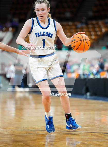 Thumbnail 3 in Highlands Ranch vs Grandview (CHSAA Girls 6A Great 8) photogallery.
