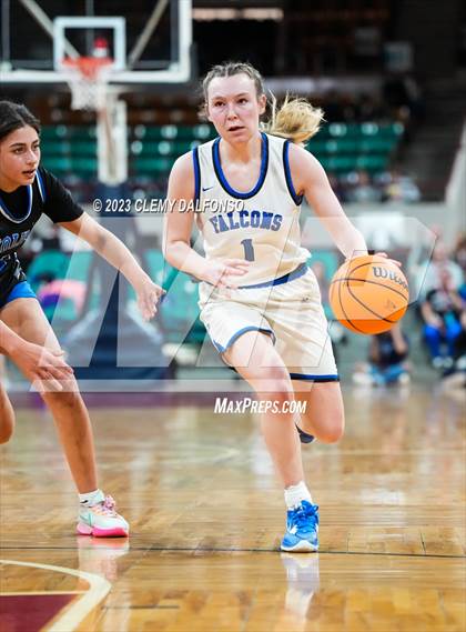 Thumbnail 1 in Highlands Ranch vs Grandview (CHSAA Girls 6A Great 8) photogallery.