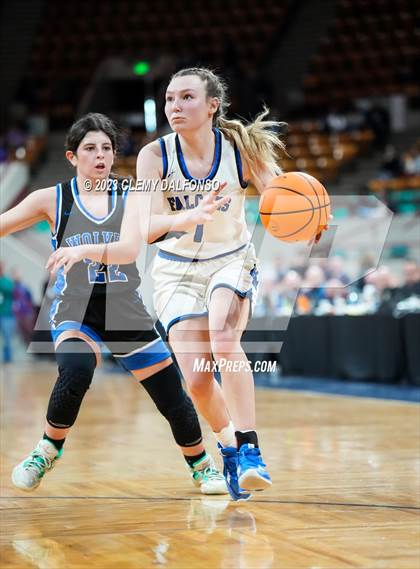 Thumbnail 1 in Highlands Ranch vs Grandview (CHSAA Girls 6A Great 8) photogallery.