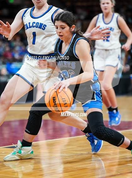 Thumbnail 1 in Highlands Ranch vs Grandview (CHSAA Girls 6A Great 8) photogallery.