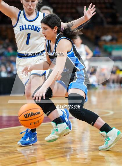 Thumbnail 1 in Highlands Ranch vs Grandview (CHSAA Girls 6A Great 8) photogallery.