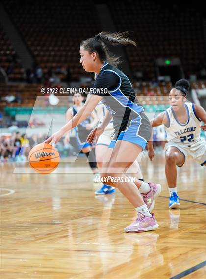 Thumbnail 3 in Highlands Ranch vs Grandview (CHSAA Girls 6A Great 8) photogallery.