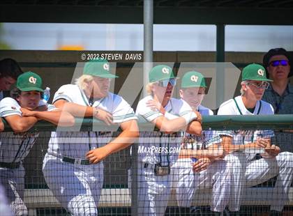 Thumbnail 3 in Millennium @ Campo Verde photogallery.