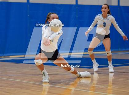 Thumbnail 2 in Tampa Catholic @ Berkeley Prep photogallery.