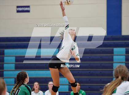 Thumbnail 3 in Tampa Catholic @ Berkeley Prep photogallery.