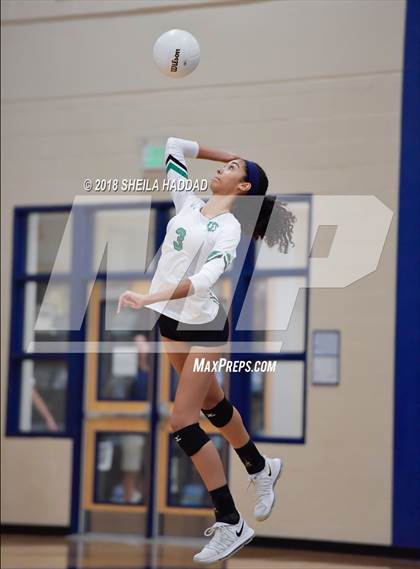Thumbnail 2 in Tampa Catholic @ Berkeley Prep photogallery.