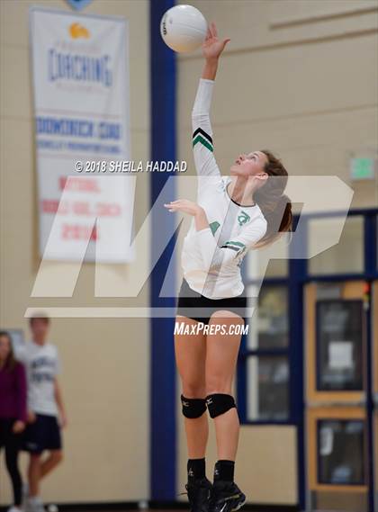 Thumbnail 2 in Tampa Catholic @ Berkeley Prep photogallery.