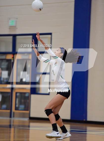 Thumbnail 3 in Tampa Catholic @ Berkeley Prep photogallery.
