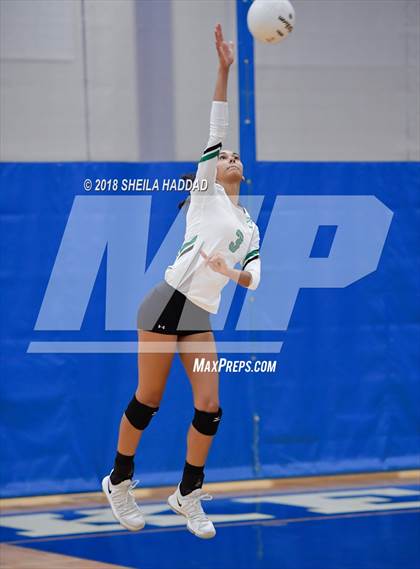 Thumbnail 3 in Tampa Catholic @ Berkeley Prep photogallery.