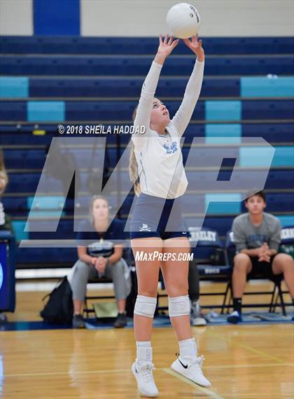 Thumbnail 3 in Tampa Catholic @ Berkeley Prep photogallery.