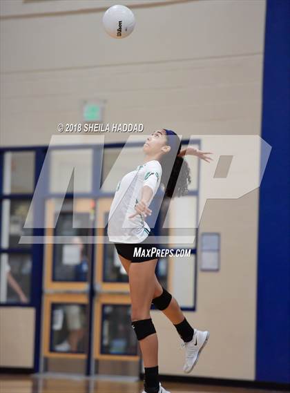 Thumbnail 1 in Tampa Catholic @ Berkeley Prep photogallery.