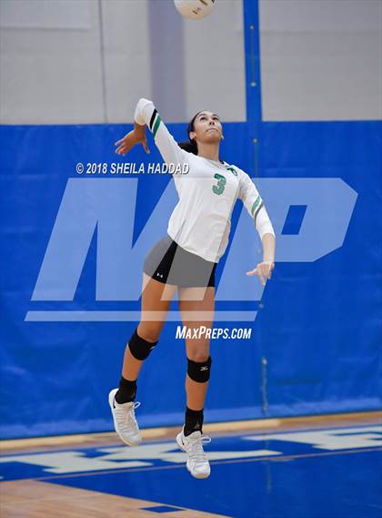 Thumbnail 2 in Tampa Catholic @ Berkeley Prep photogallery.